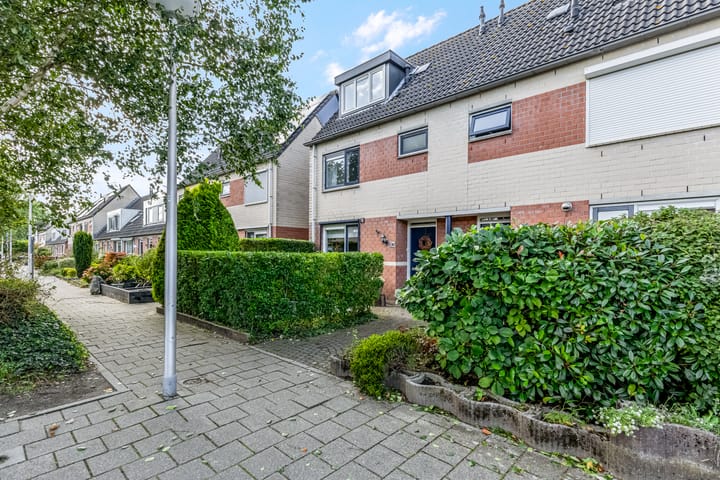 Waterlelie 36 in Woudenberg