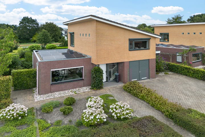 Waterranonkel 6 in Heerenveen