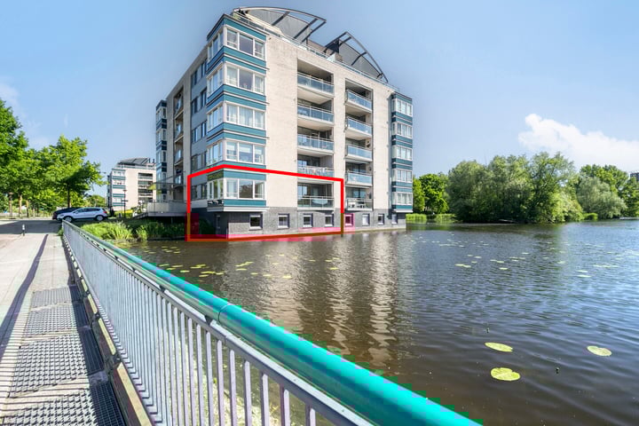 Watersalamander 51 in Amersfoort foto