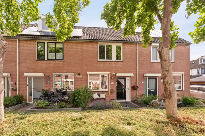 Watersnip 60 in IJsselmuiden