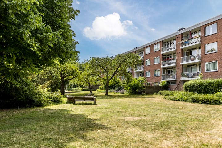 Wedderborg 22 in Amsterdam