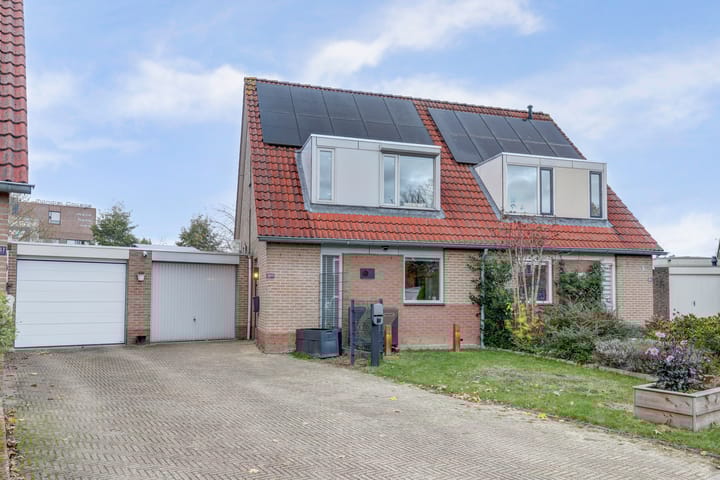 Wedesteinbroek 2009 in Nijmegen Foto