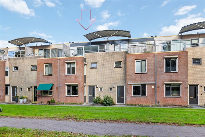 Weidelaan 221 in Raalte