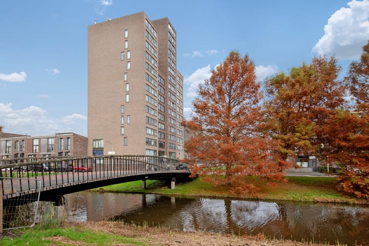 Weidevogellaan 208 in 's-Gravenhage