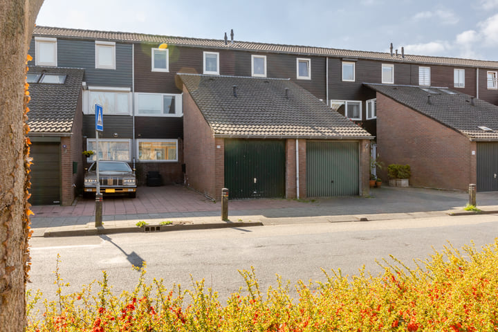 Weidezoom 20 in Moordrecht