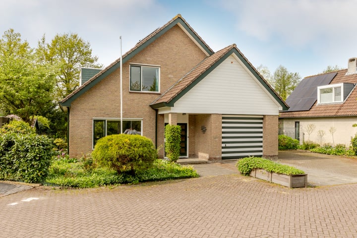 Weidezoom 43 in Moordrecht
