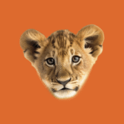 Logo Welp Makelaardij