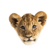 Logo van Welp Makelaardij