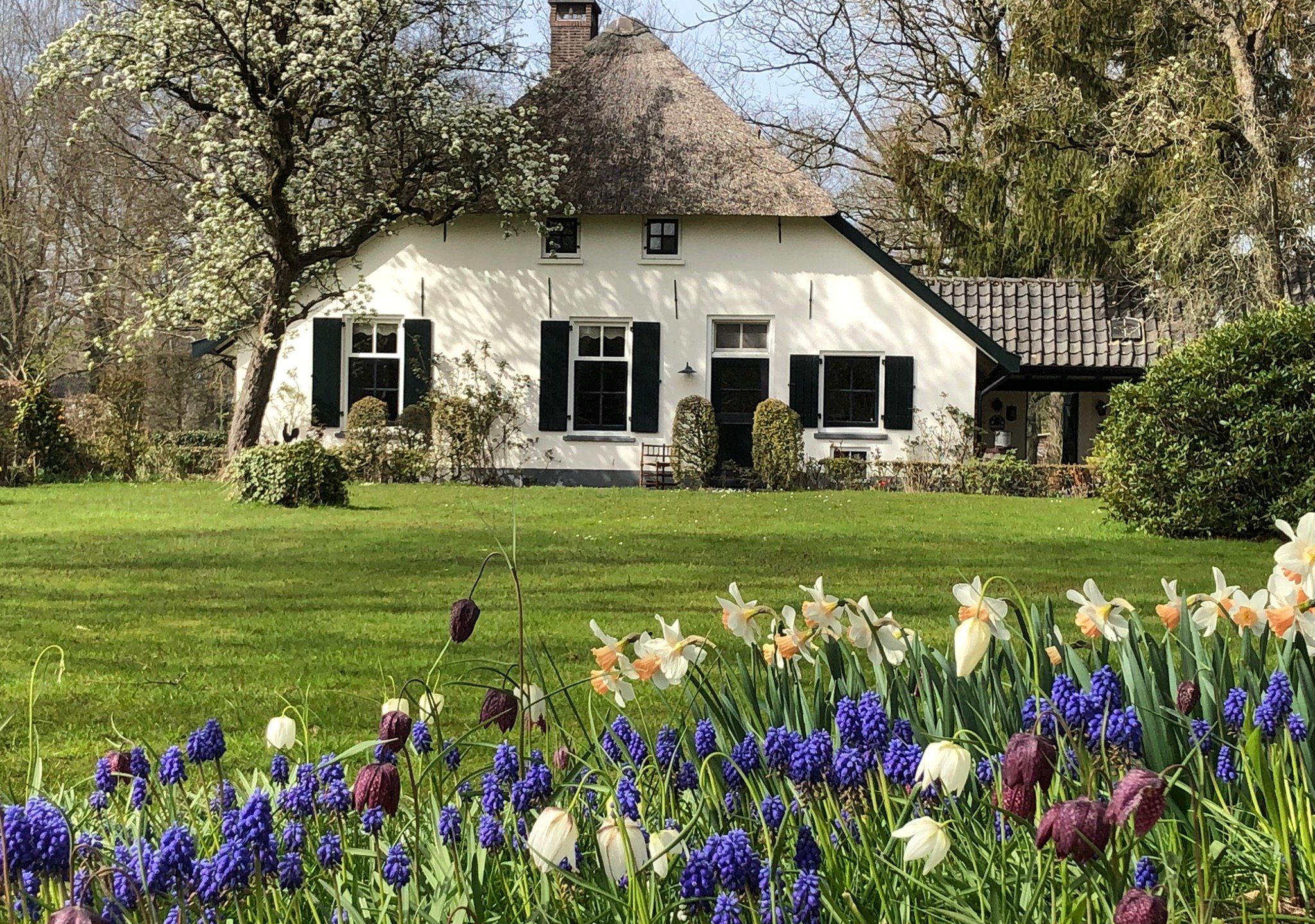 Kantoor foto van Wensink Makelaardij b.v.