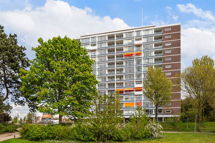 Westzeedijk 252 in Rotterdam