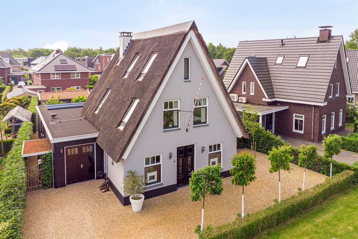 Wezel 12 in Apeldoorn Foto