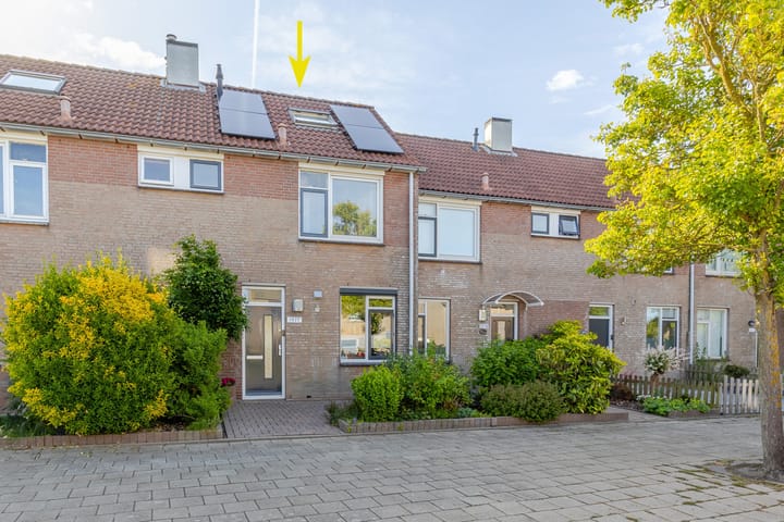 Wierbalg 1977 in Julianadorp foto