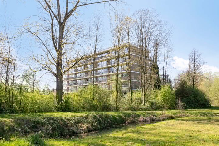 Wijenburglaan 169 in Arnhem