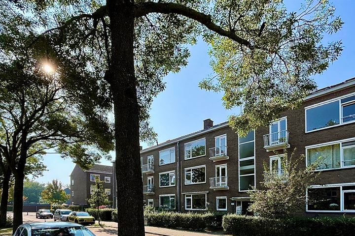 Wijnandt van Elststraat 70 in Rijswijk