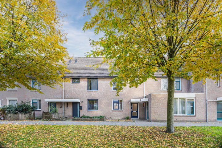 Wijngaard 10 in Tilburg foto