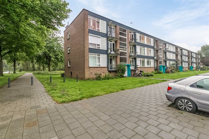 Wijnruitstraat 109 in Hoogvliet Rotterdam