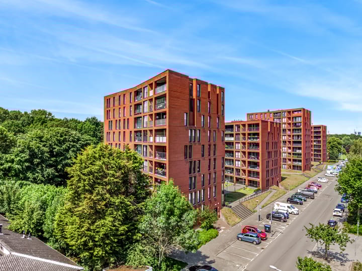 Wijnruitstraat 421 in Hoogvliet Rotterdam