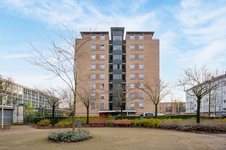 Wildeman 97 in Amsterdam