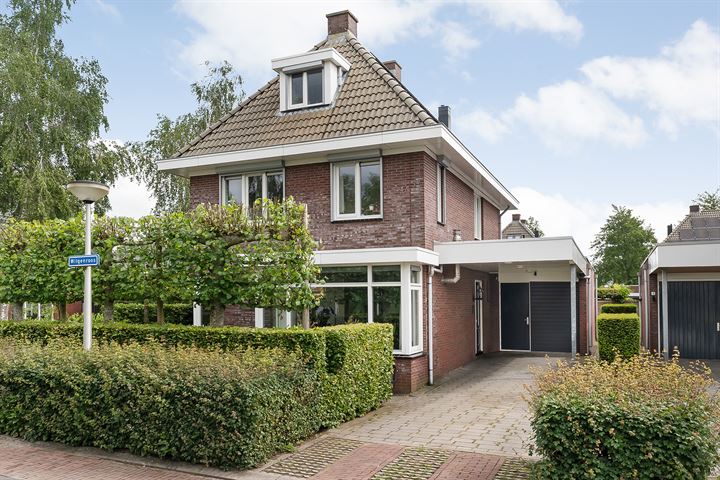 Wilgenroos 1 in Meppel