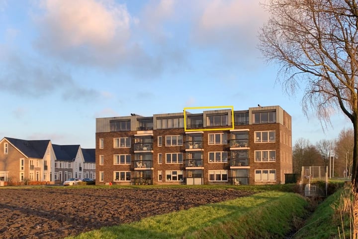 Wilgenroos 60 in Hazerswoude-Dorp