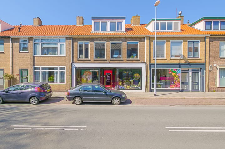 Willem Barentszstraat 159 in Den Helder