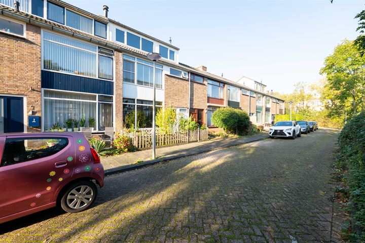 Willem Buyteweghstraat 9 in Spijkenisse