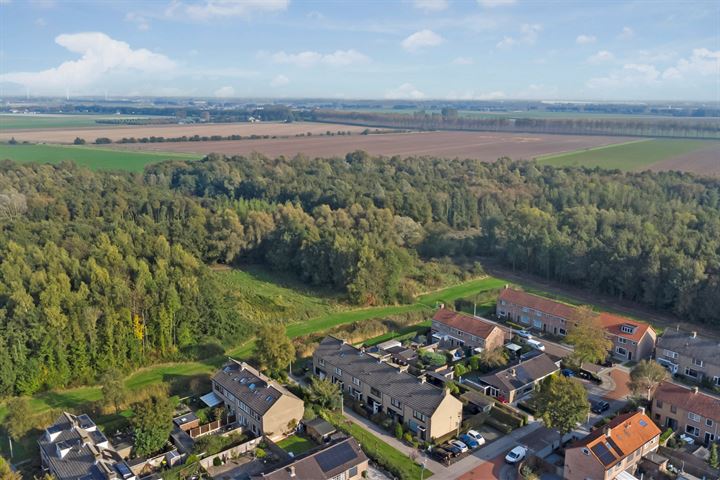 Willem de Zwijgerstraat 22 in Strijen