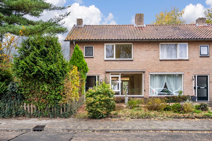 Willem Lodewijklaan 32 in Ede