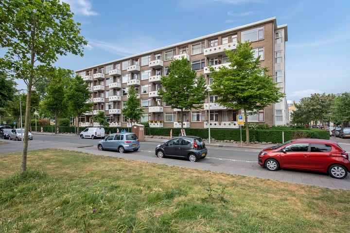 Willem Pijperstraat 66 in 's-Gravenhage photo