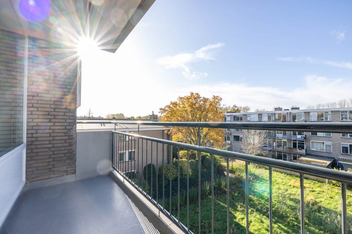 Willem van Boelrestraat 113 in Rotterdam