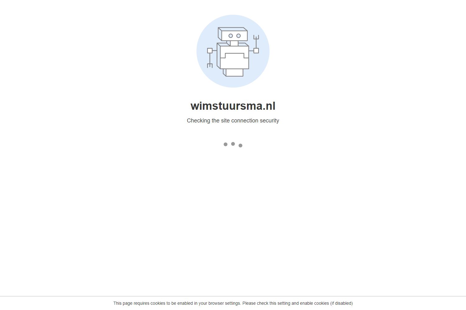 Screenshot van de website van www.wimstuursma.nl