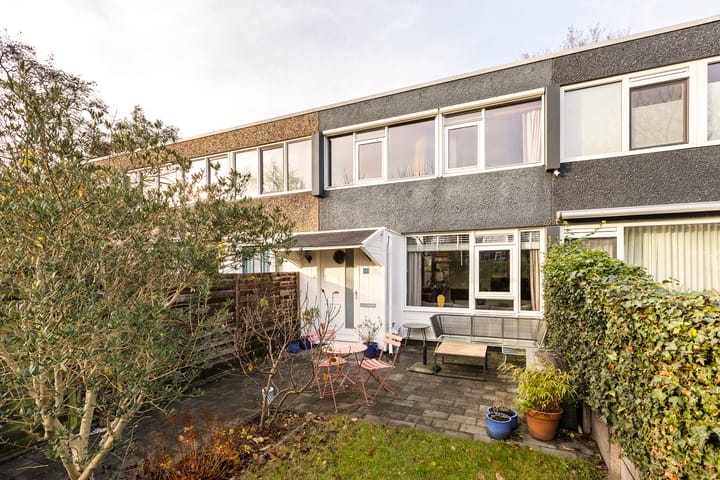 Wimpel 50 in Groningen