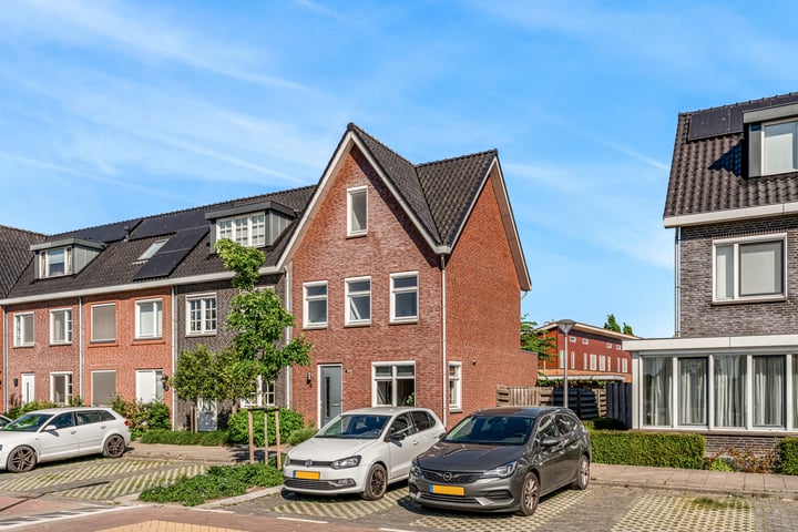 Wipmolen 9 in Groot-Ammers