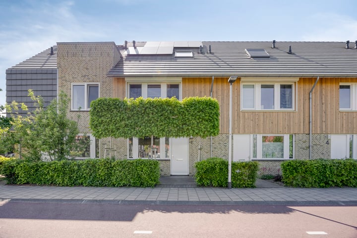 Witbolgras 2 in Meppel foto