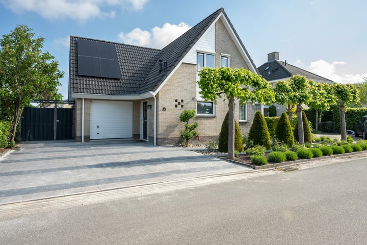 Witrugspecht 49 in Emmen