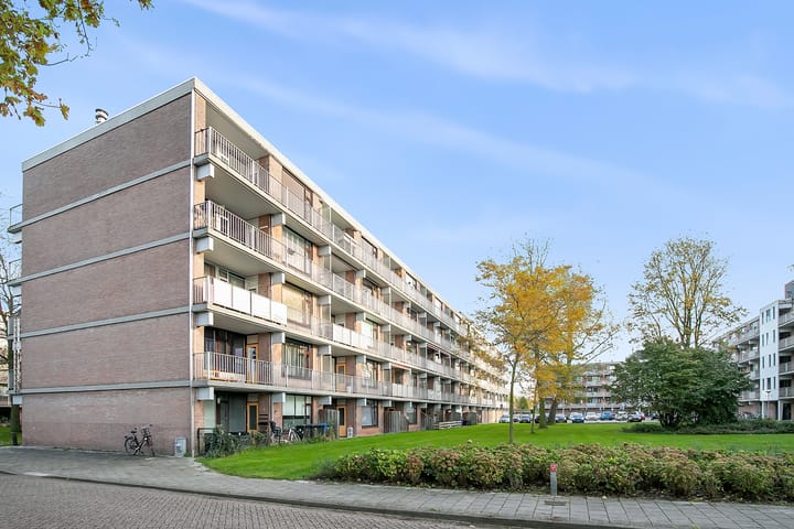 Witte de Withstraat 81 in Terneuzen