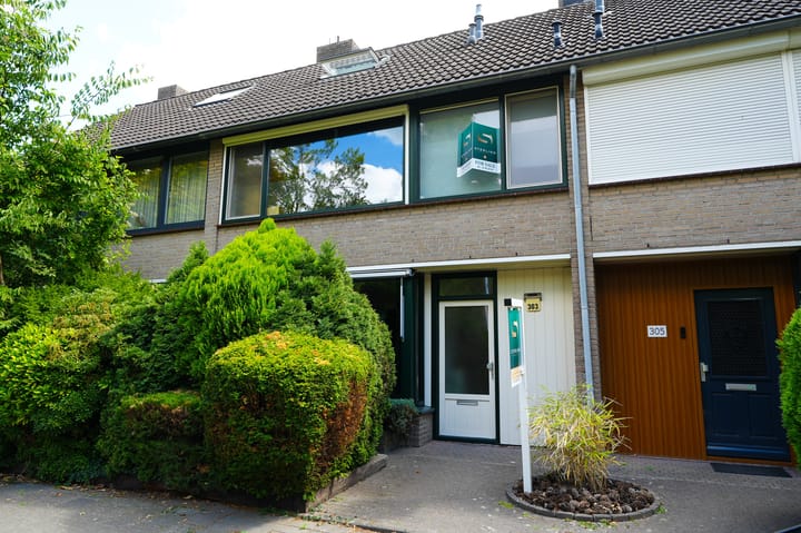 Woenselsestraat 303 in Eindhoven