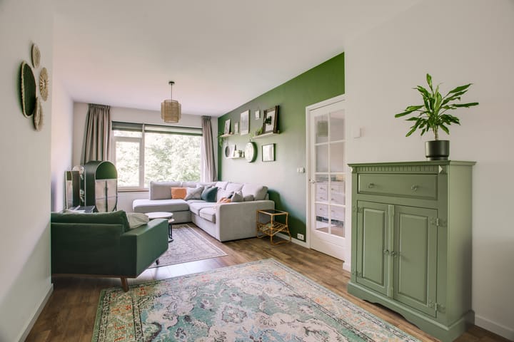 Online Woningbrochure voor www.franshalskade205.nl