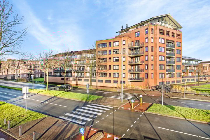 Zalm 226 in Hendrik-Ido-Ambacht