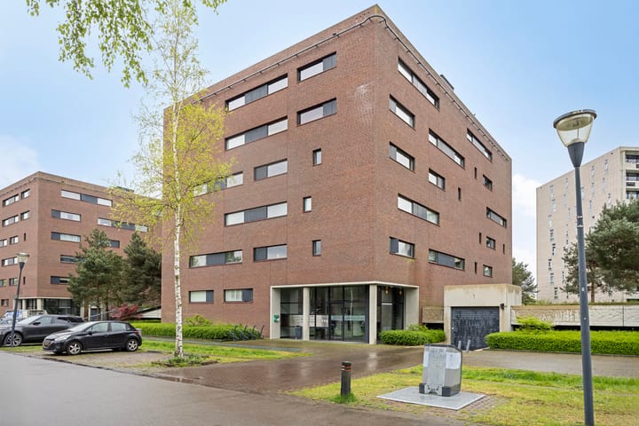 Zandbloem 55 in Eindhoven foto