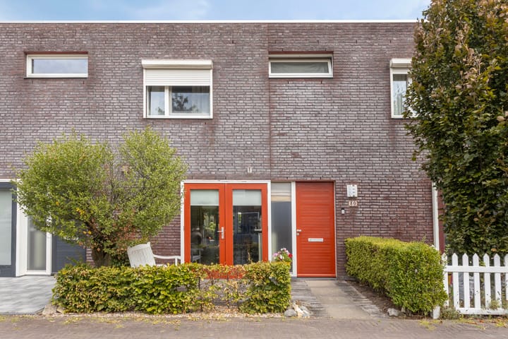 Zandroos 30 in Eindhoven