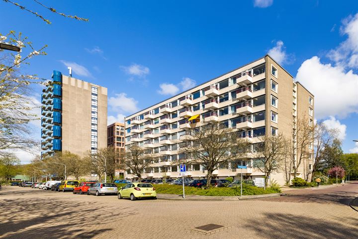 Zandvoorter Allee 170 in Haarlem