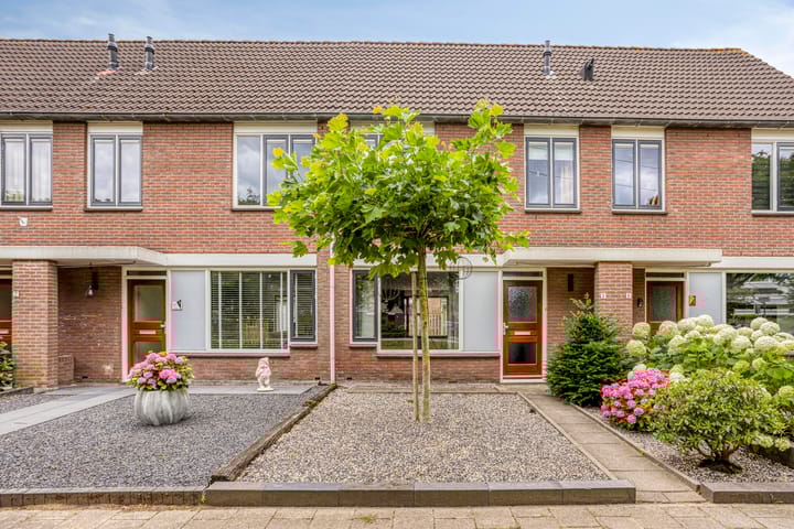 Zebravink 3 in Veenendaal