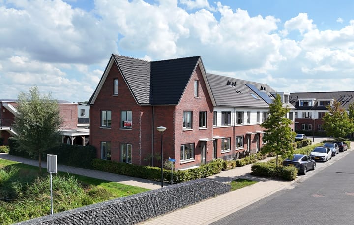 Zeekool 1 in Roelofarendsveen