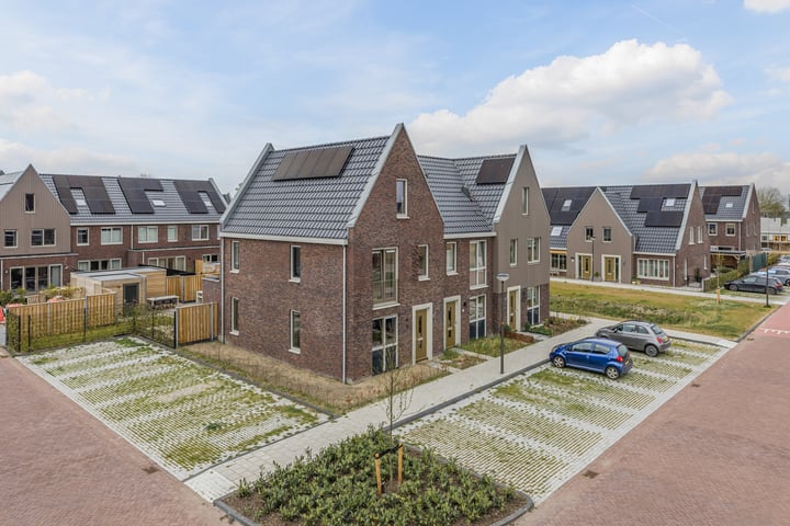 Zeis 6 in 't Zand