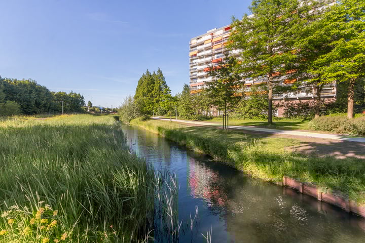 Foto von Haus Zernikelaan 386, Papendrecht