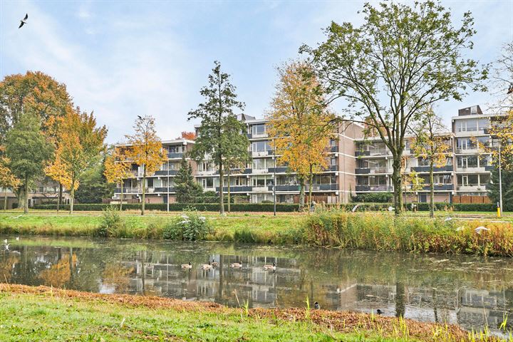 Zesde Buitenpepers 84 in 's-Hertogenbosch