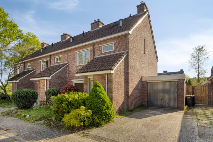 Zevenblad 8 in Borne
