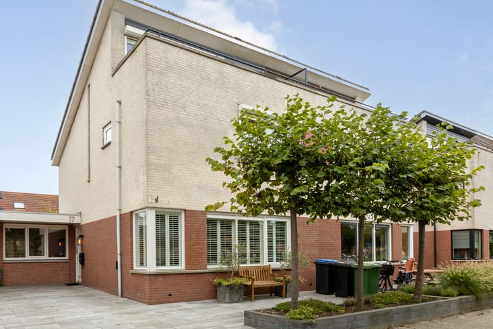 Zilverplevier 17 in Bergen op Zoom