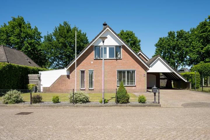 Zilverreiger 2 in Emmen